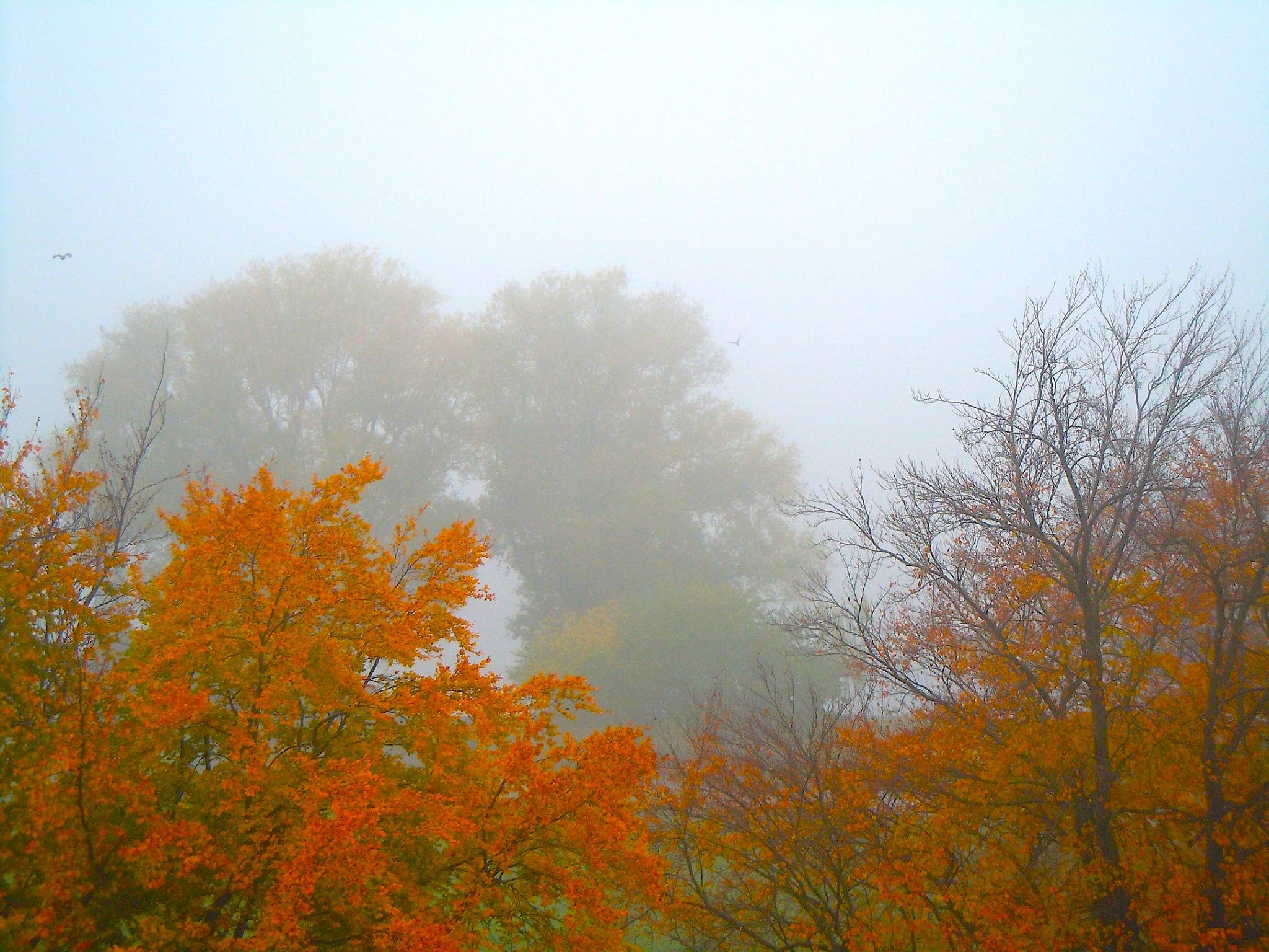 Herbstgefühle